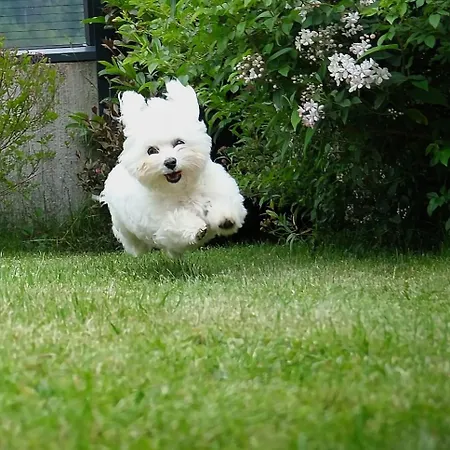 דירה Stubai Inklusive Stubai Super Card פולפמס