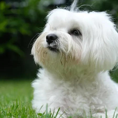 Stubai Inklusive Stubai Super Card Fulpmes