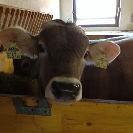 Stubai Inklusive Stubai Super Card Apartamento