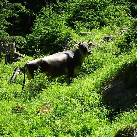 Apartamento Stubai Inklusive Stubai Super Card