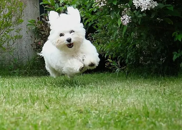 Apartamento Stubai Inklusive Stubai Super Card Fulpmes