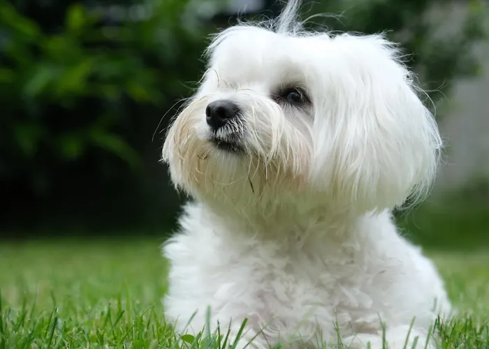 Stubai Inklusive Stubai Super Card Fulpmes