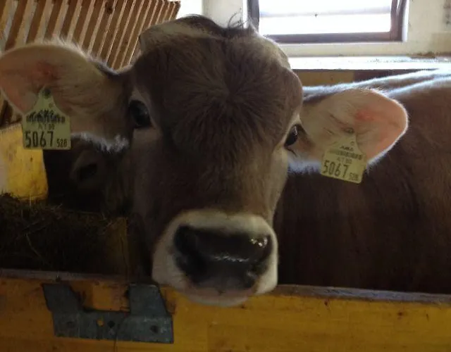 Stubai Inklusive Stubai Super Card Διαμέρισμα