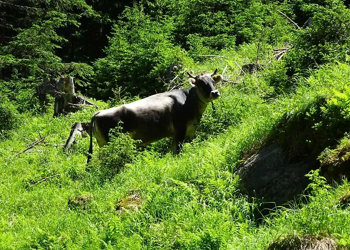 Διαμέρισμα Stubai Inklusive Stubai Super Card